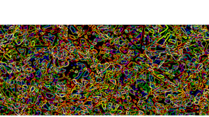 https://www.theospinnler.ch/files/gimgs/th-1_Farbnetz 11XZ.jpg